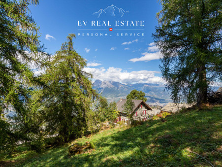 Other sur Haute-Nendaz ; &euro; 2 400 000  ; A vendre Réf. EVR25