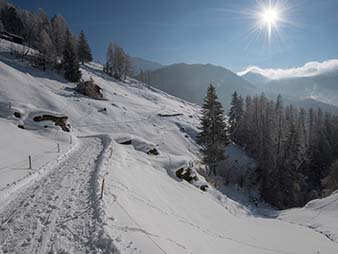 EV Real estate Services Sarl / Sale